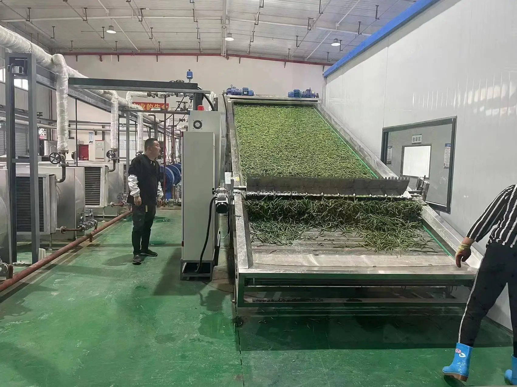 Driing Machine Commercial Food Dryer Machine Conveyor Dryer for Ginger Herbs Vegetable ...