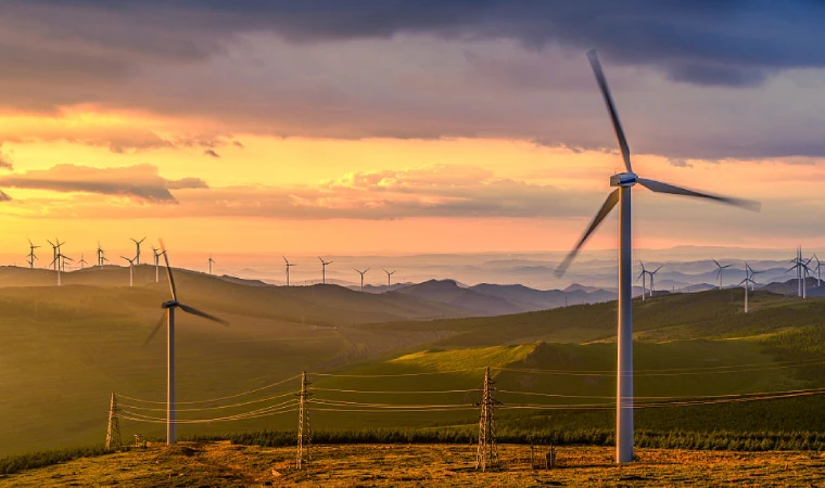 拉美新能源市场“风”生“水”起