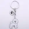 Bichon frise