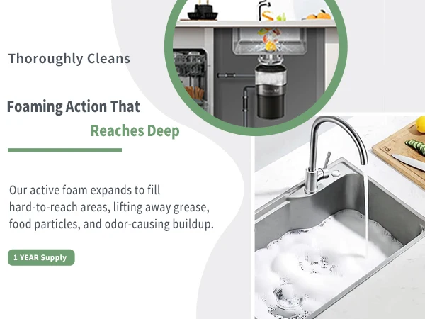 Deep Clean Garbage Disposal