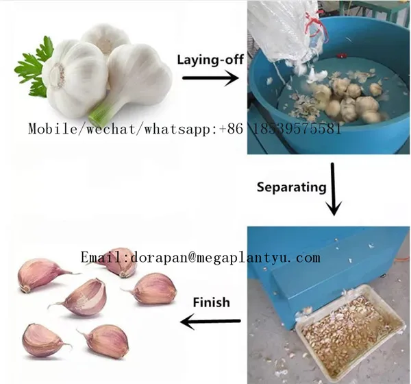 Industrial New Generation Garlic Clove Separator Garlic Petal Machine ...