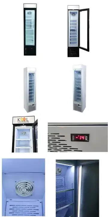 Fenfei Small Commercial-Sized Refrigerators  Sales Igloo Korean Island Style Custom Dover Danone Design Available Small