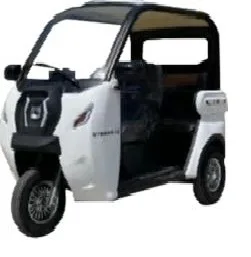 電動　HK415D 江蘇省3輪電動貨物三輪車801-1000W 60V 100-200kgペイロードCE/Eec認定