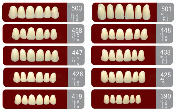 anterior-resin-teeth-dental-denture-teeth-for-sale-buy-denture-teeth