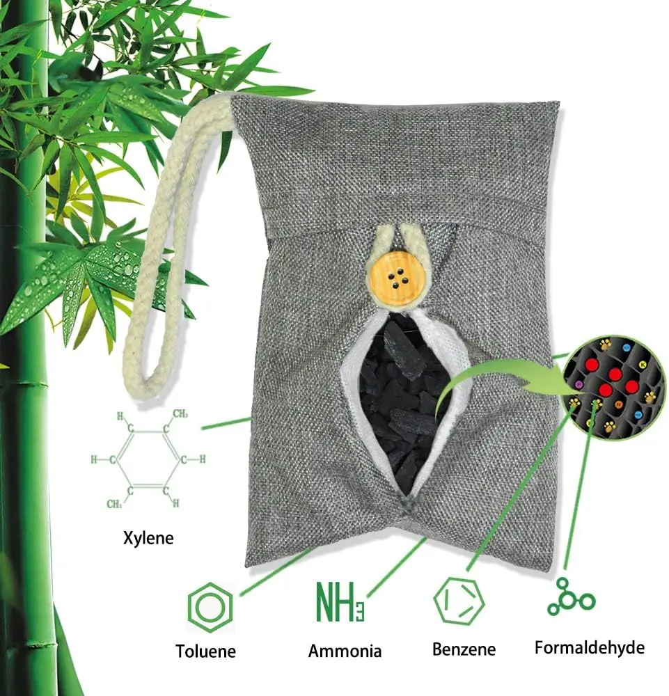bambus geruch Bambus schwarz - Phyllostachys nigra