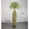 150 cm