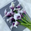 White with Purple