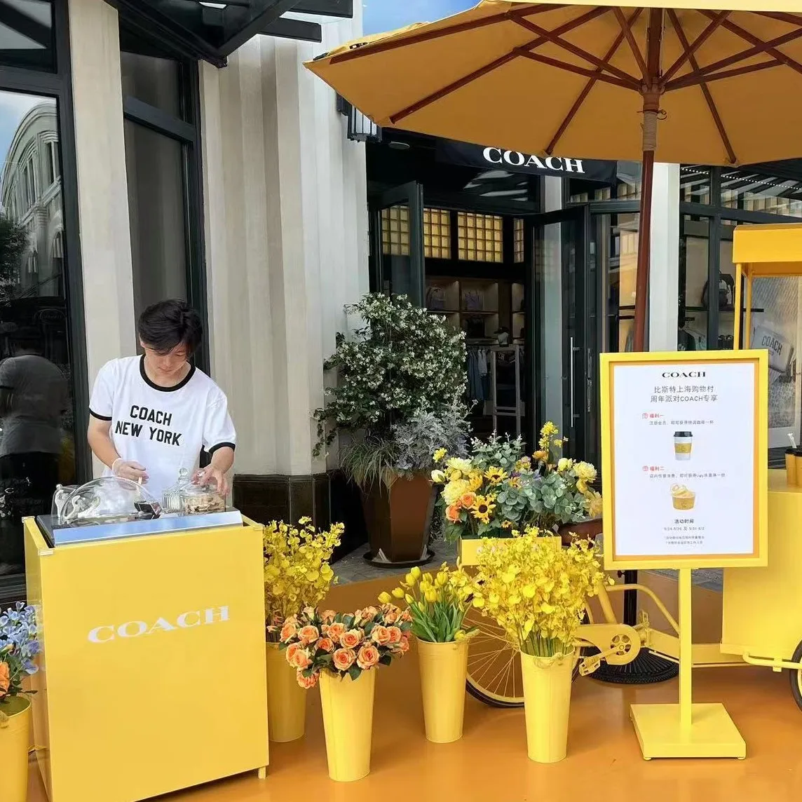 110V Miles Tabletop Ice Cream Machine Desk Top Ice Cream Machine NSF CE Certificate Counter Top Gelato Freezer Display - Image 2