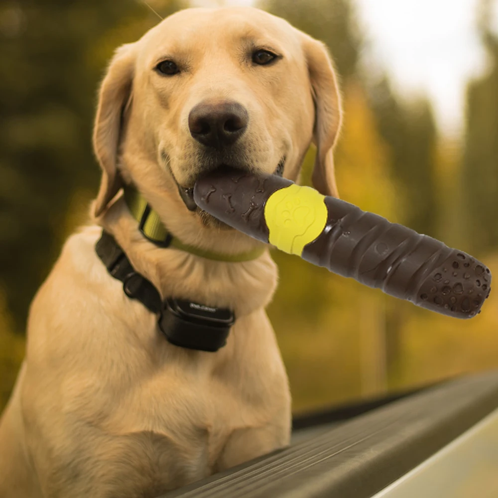 cigar dog toy