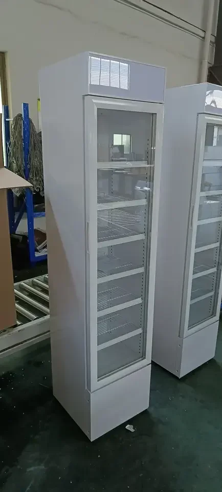 Custom logo Commercial Frozen Refrigerator Vertical Freestanding Compressor Fridge Freezer for Ice Cream Display