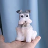 Schnauzer