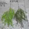 Large air plant-light green