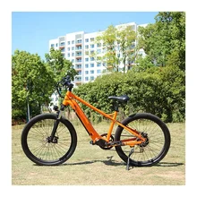 RaiderRace-802 New Design China Factory E Bike 48v Electric Mountain Bike 500w 26 Inch Electric Electric fat tire bike  bicycle