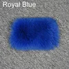 สีรอยัลบลู