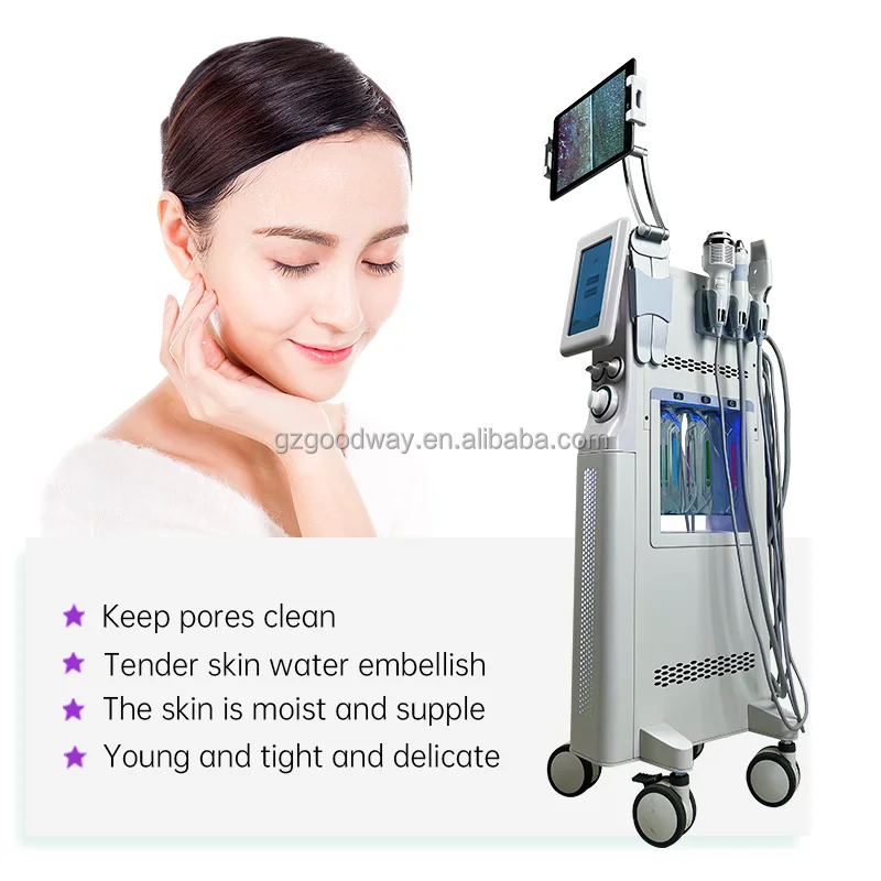 Portable 6 In 1 Hydra Skin Care Beauty Hydro Dermabrasion Facial ...