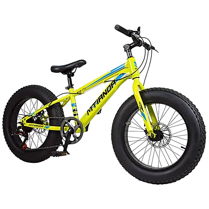 Cheap Fat Tire Bike Snow Mountain Bike Fat Tire Bicycle 20