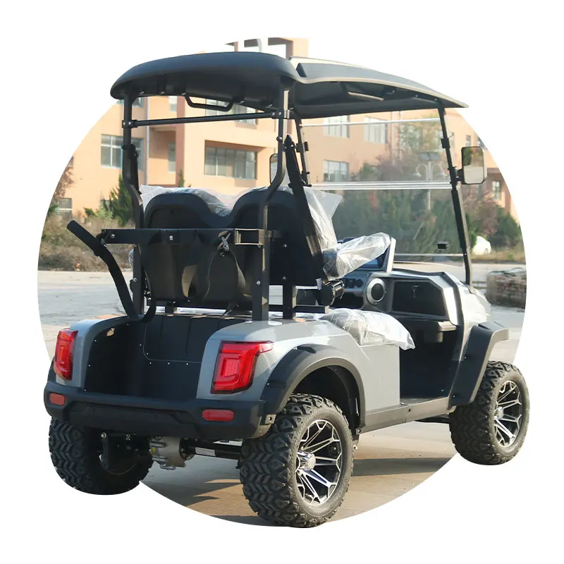 Affordable Electric Golf Buggy Wheel Fun Versatility