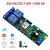 Tuya 2-Channel 12V + 433MHz (Bare Board)