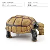 Tortuga europea colorida Q9899-S602 248g