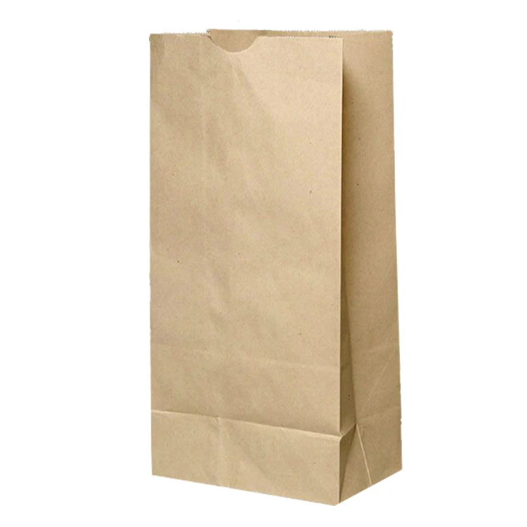 Custom print paper garbage bag yard garden waste bag 2 ply kraft paper  trash bags for recycling