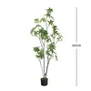 Árbol del dinero de hoja pequeña (Tipo A), 160 cm