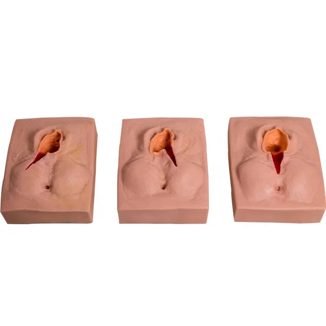 GD/F3B General Doctor Advanced Vulva suturing Training Simulator