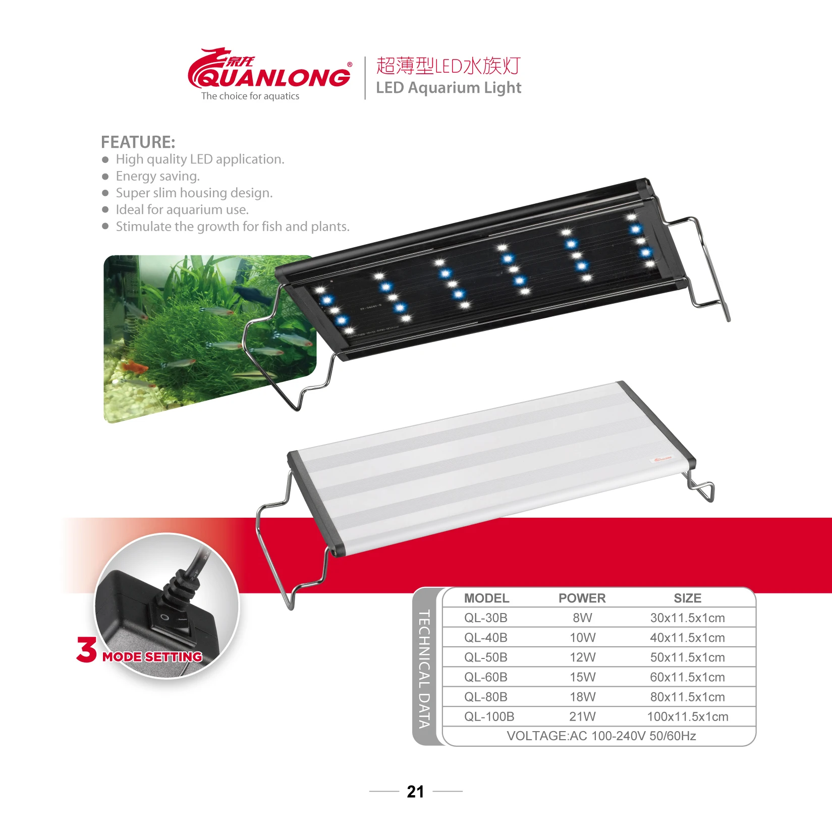 quanlong led light