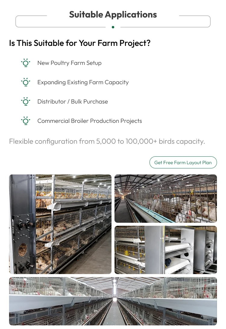 H-Frame Automatic Broiler Cage