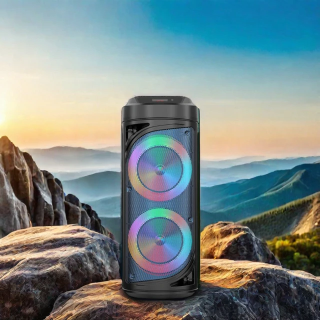 SING-E ZQS6212  High quality karaoke sound amplified car speakers Bluetooth portable DJ speaker with FM radio high quality