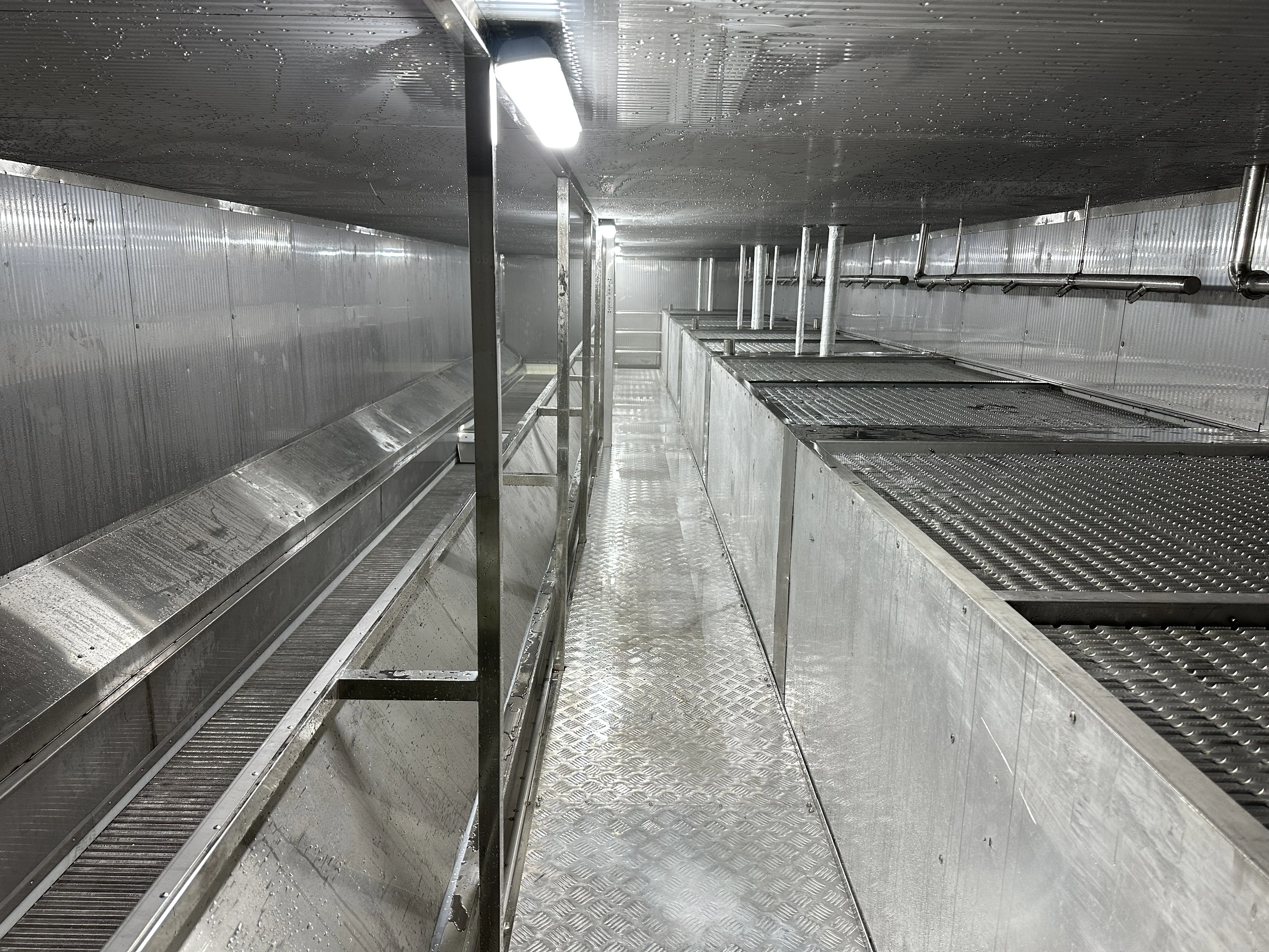 Continuous IQF freezer tunnel high-speed freezer for fruits, vegetables and meat