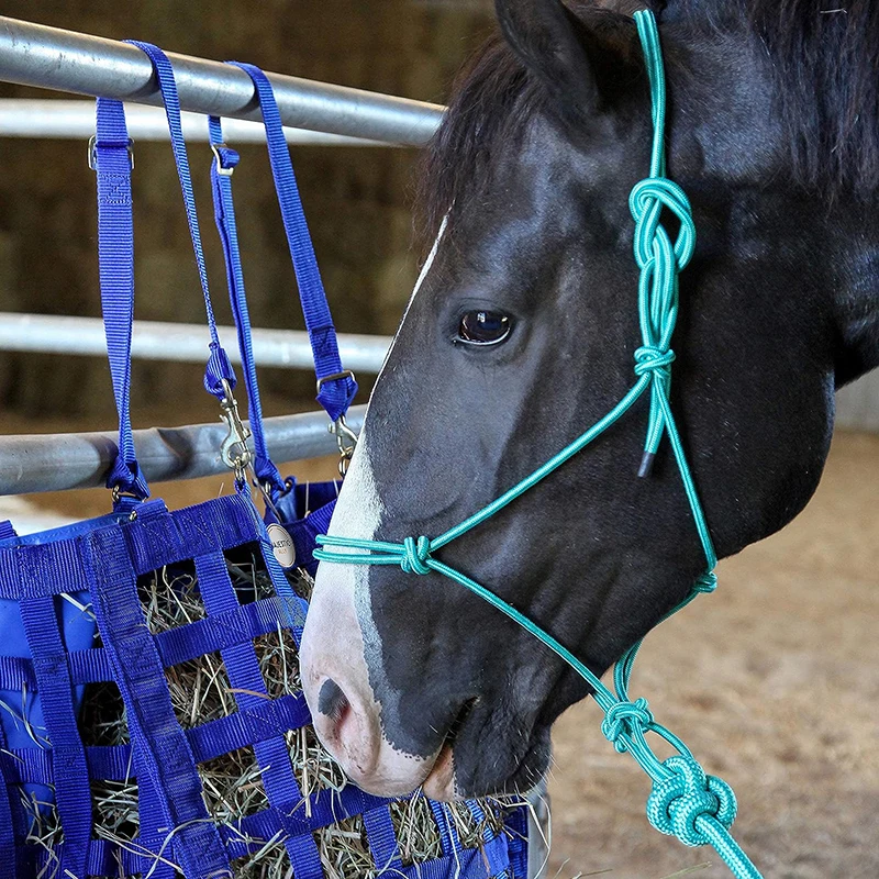 Polyester Rope Equine Promotional Equestrian Products Horse Riding Polyester Training Halter ...