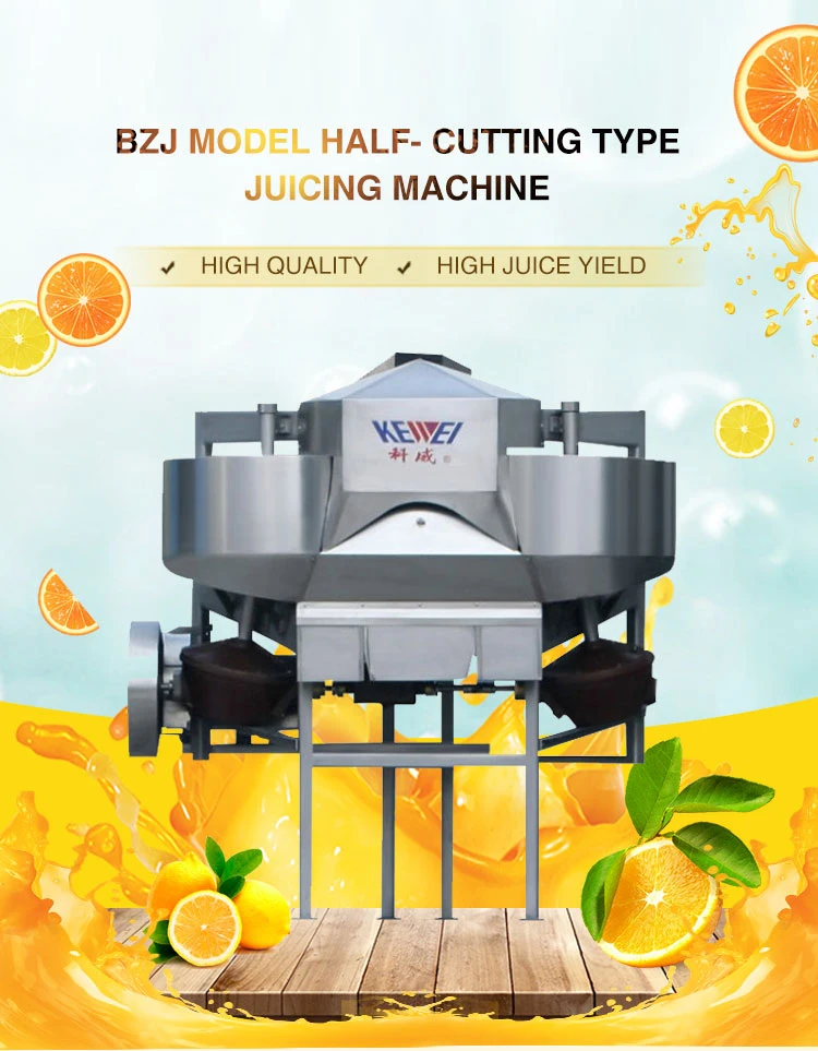 Mulberry Grapes And Other Fruits And Vegetables Continuous Automatic