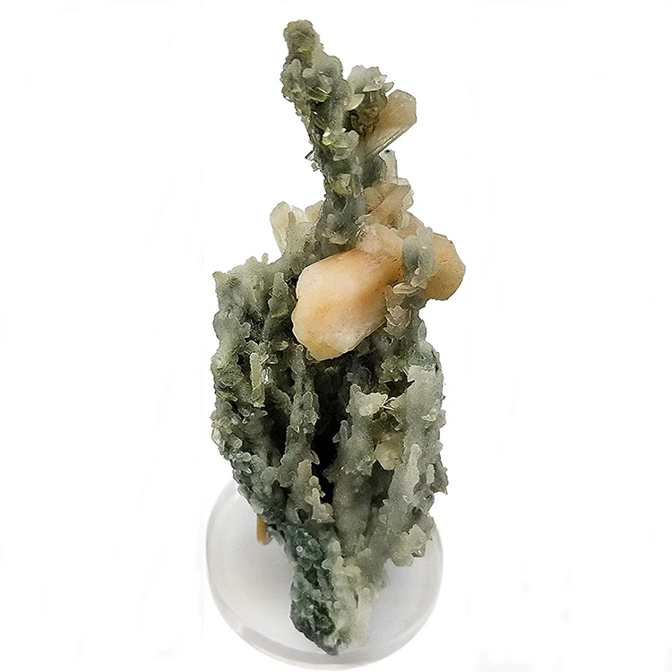 Slab Fossil Specimen Mineral Display Stand Metal Arm Acrylic Display Stand Easel