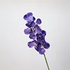Black Purple