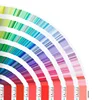 color personalizado