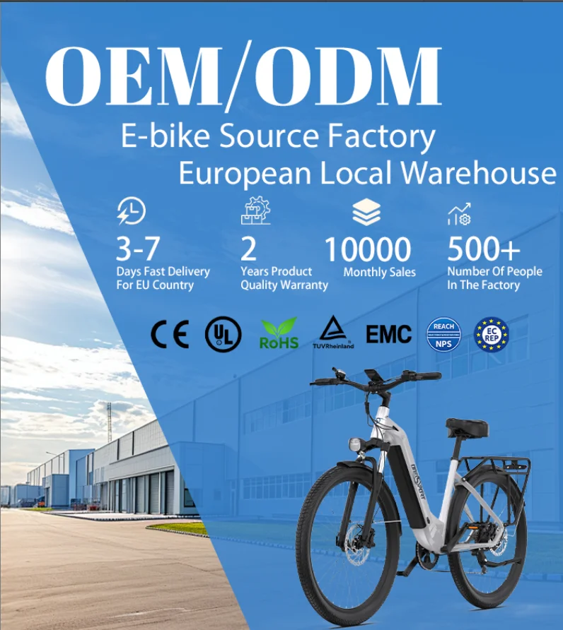 EU Warehouse Retro High Speed off Road Ebike Full Suspension
