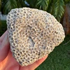 Coral Rough