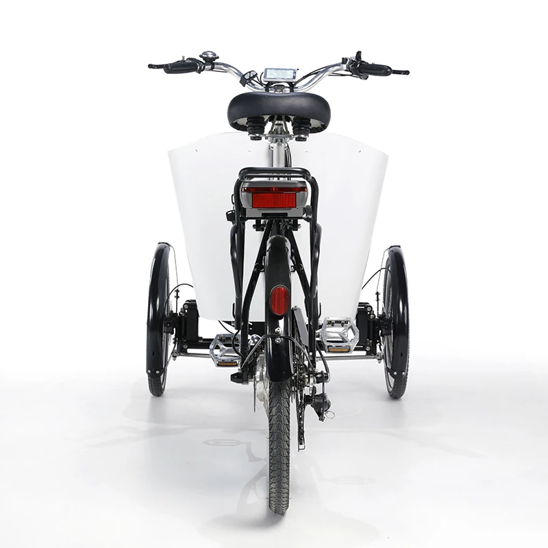 Factory Wholesale Price Durable Heavy Loading Cargo Electric Bike 3 Wheel Tricycle Bike Family Trike From China