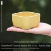 Thin style-Plastic-9cm9cm5cm golden yellow