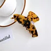 Écaille de tortue foncée