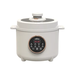 Hot Selling 6L Multi Pressure Cooker Electric Pot Home Appliances Kitchen Digital with Visual Timer