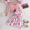 Rosa DY42668A