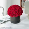 red roses