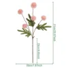 Poudre moussante AL164-215-1