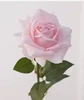 สีชมพู