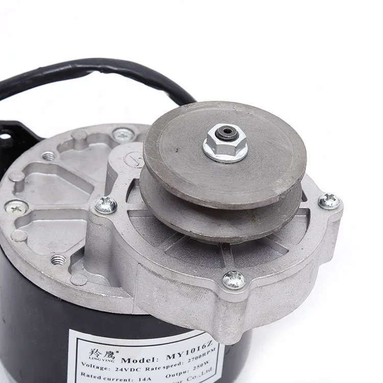 24v250w My1016z Electric Scooters Brushed Dc Electric Motor Buy