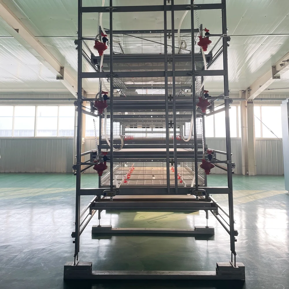 Factory Price Broiler Chicken Farm Automatic Feeder Pull-Out Slat Automated Harvesting Broiler Chicken Cages for Sale