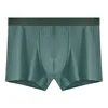 605 cotone-verde scuro
