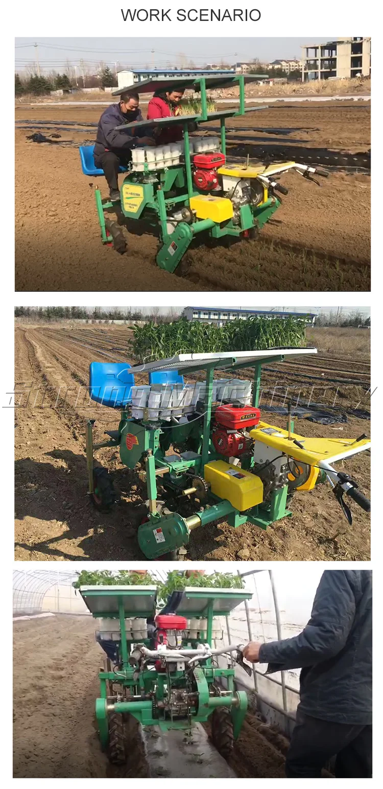 Tractor Trailed Vegetable Seeder Sowing Machine 6 Row Onion Planter Seeder