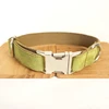 Green velvet dog collar